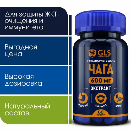 ���� ���� �������� � ����-���������, ���� / �������� ��� ���, ��������� � �������, 60 ������ ������ ������