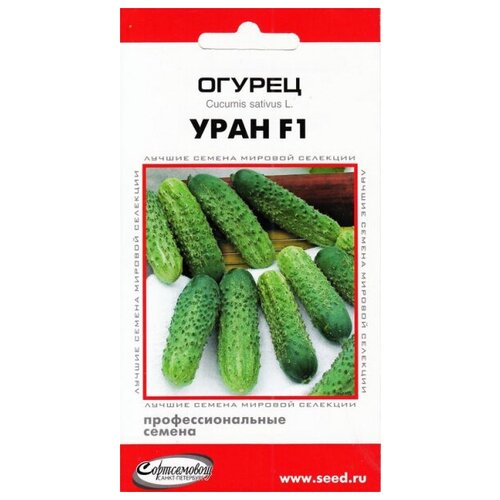 ���� ������ ���� F1, 6 ����� ������ ������