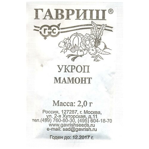 ���� ������. ����� 