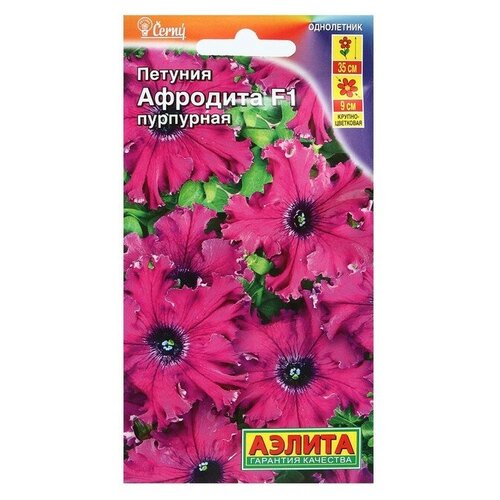 ���� ������ ������� �������� F1 ��������� ��������������� �����������, 10 �� ������ ������