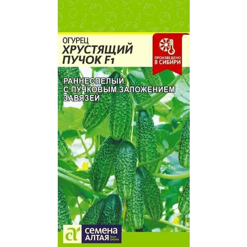 ���� ������ ��������� ����� F1 6 �����/ ��� ��� ������ ������