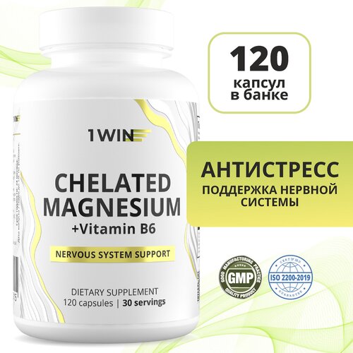 ���� ������ ����� � ��������� �6, �������� ��� ������ �� �������� � ����������, 120 ������ ������ ������