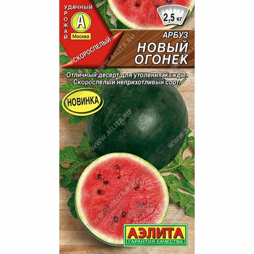 ���� ������ ����� ����� ������ (������) 1� ������ ������