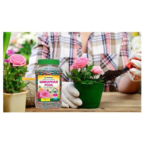 ���� ����������� ����������� ��������� ��������� �������� ����, 1,2�� ������ ������