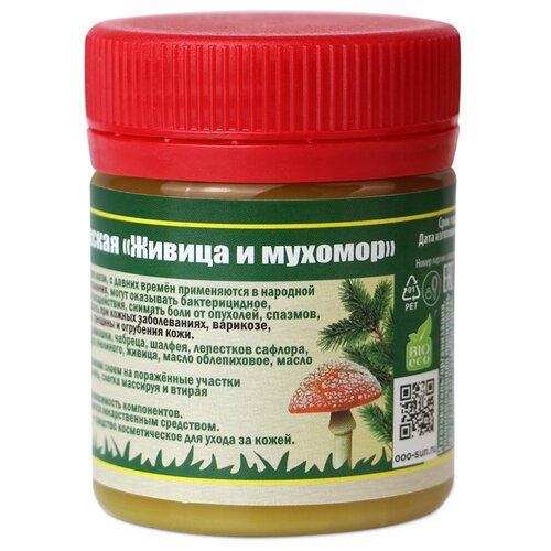 ���� ���� ������ ������������ ������ � �������, 55 �, 40 �� ������ ������