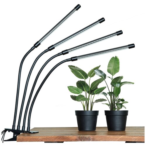 ���� ���� ����� ��� �������� 4 ����������� / ����� ��� ��������, ��� ������ / ���������� / ��������� / �������������� / ���������� ����� �������� ���� ������ ������