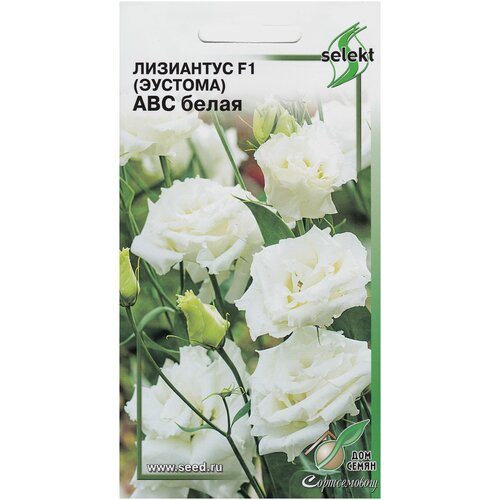 ���� ��������� F1 (�������) ��� �����, 5 ����� ������ ������