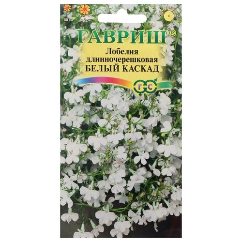 ���� ������ ������ ������� ��������� 