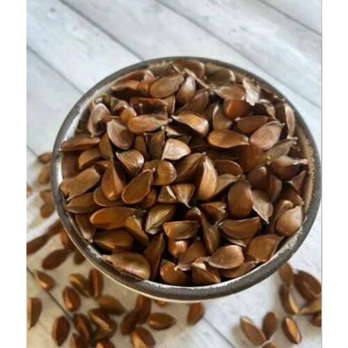 ���� ����� ������� ����� �������� ������ ������