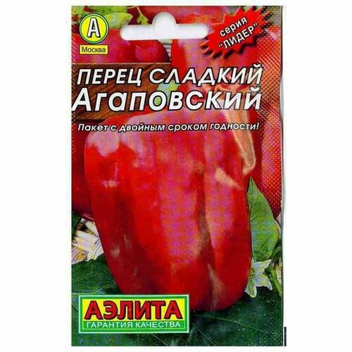 ���� ������ ����� ������� ����������, �����������, (������) 20�� ������ ������