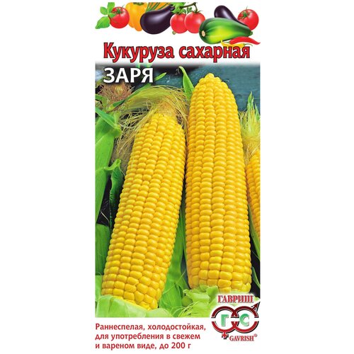 ���� �������� �������� ����, ������ ������ ( 1 ��: 5 � ) ������ ������