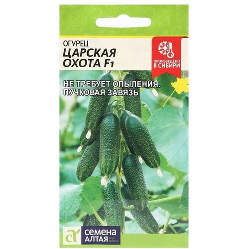 ���� ������ ������ 