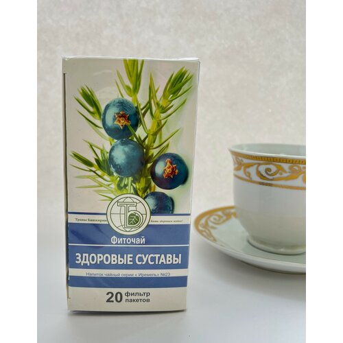 ���� ������� 