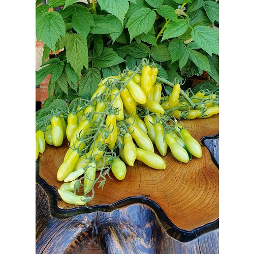 ���� ������ ����� ��������� ������ �������� (Dancing Green Fingers) / Seeds And Goods / � �������� zip-lock ��� ���������� 10 ����� ������ ������