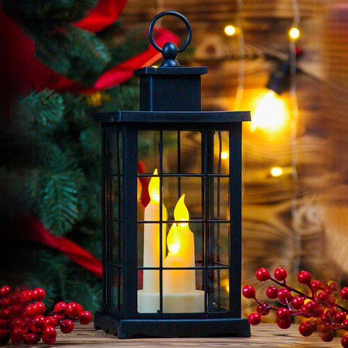 ���� ���������� ���������� ������������ 