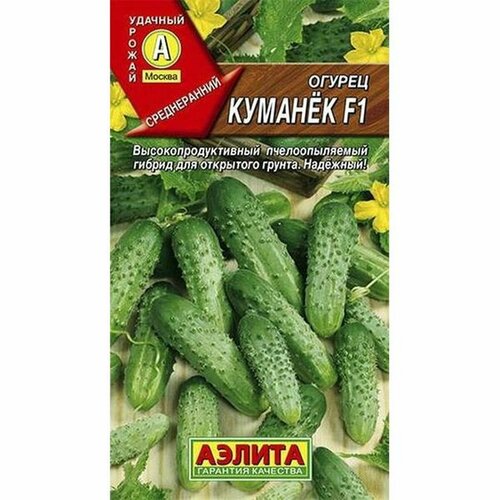 ���� ������ ������ ������� F1 ��, ������������, (������) 10�� ������ ������