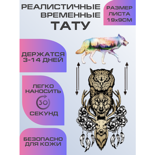 ���� ���� ���������� �������������� ���� ������ ������