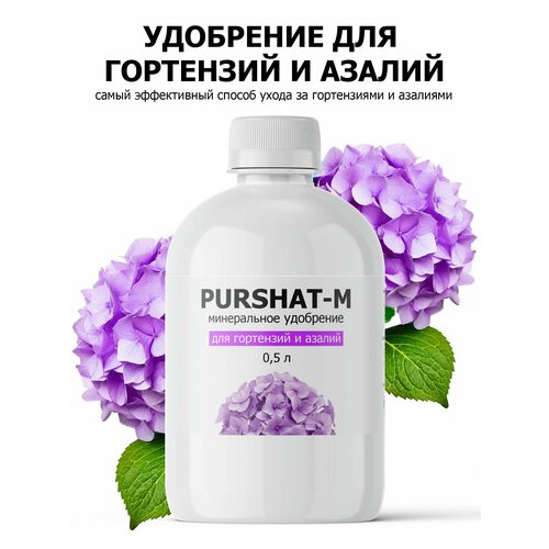 ���� ��������� ��� ���������, ������������� � ������ ������ (Purshat) 500 �� ������ ������