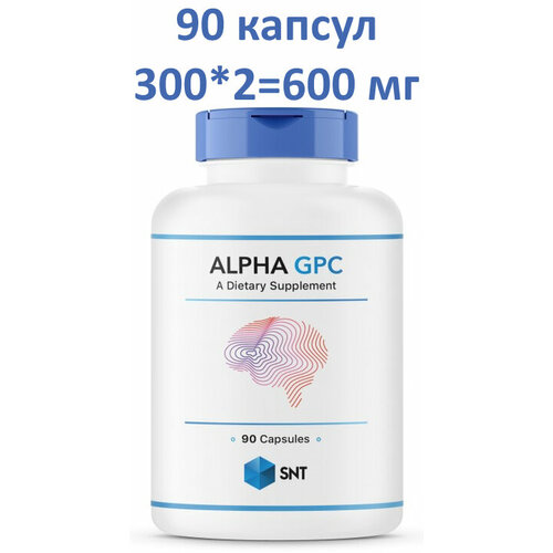 ���� SNT Alpha GPC 600 �� 90 ������ ������ ������