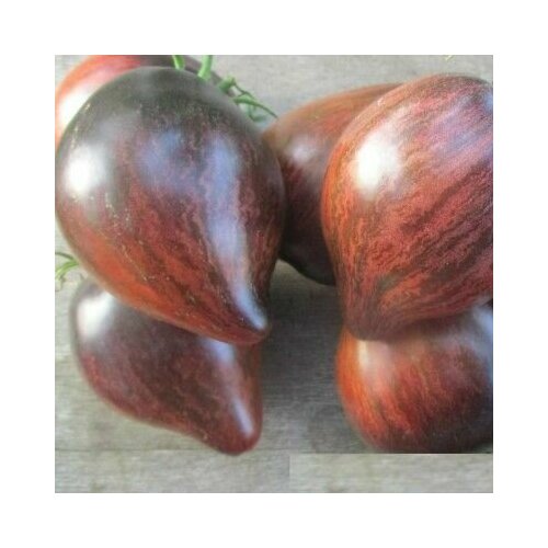 ���� ������������� ������ ������ �������� ������� ����������� - ���� ������ ������