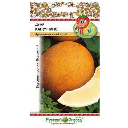 ���� ������. ���� 