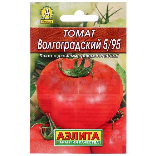 ���� ������ ����� 