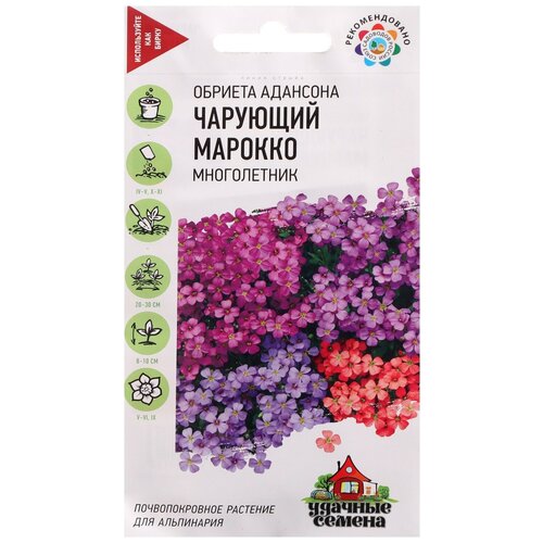 ���� ������ ������ ������� 