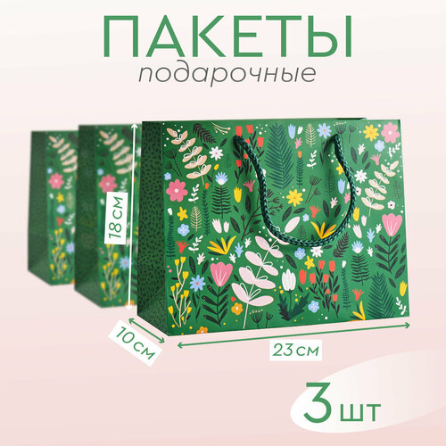 ���� ����� ������� ���������� �������� 3 �� ������ ������