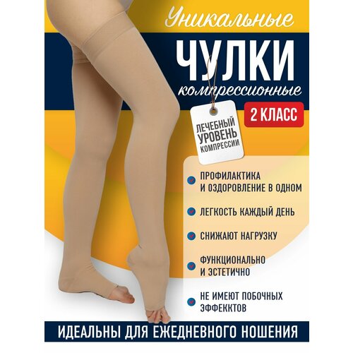 ���� ����� �������������� 2 ����� XL (5) ������� � �������� ������ ������ ������