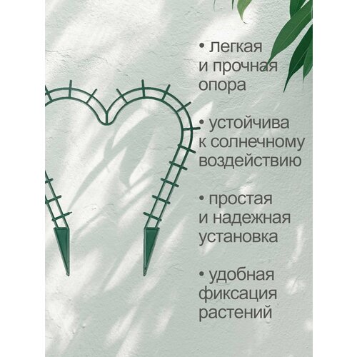 ���� ��������� (�����) ��� ��������� �������� 