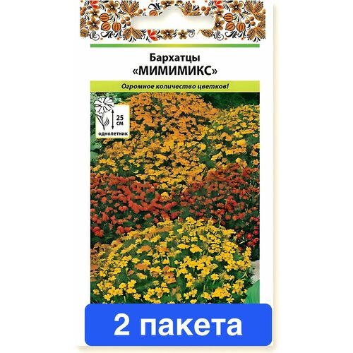 ���� ����� �������� �������� 2 ������ ������ ������