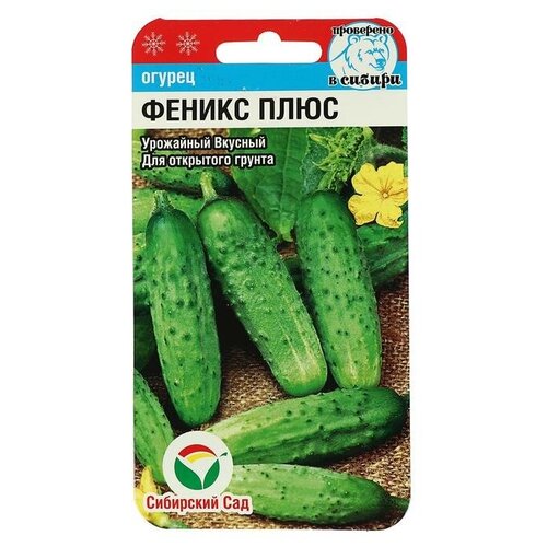 ���� ������ ������ 