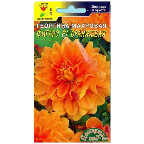 ���� ������ �������� ��� 