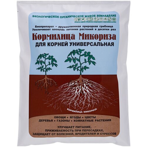 ���� ��������� ��� ������ ��� ��������� �������� ���������� 1 �. (���- 255��.) ������ ������