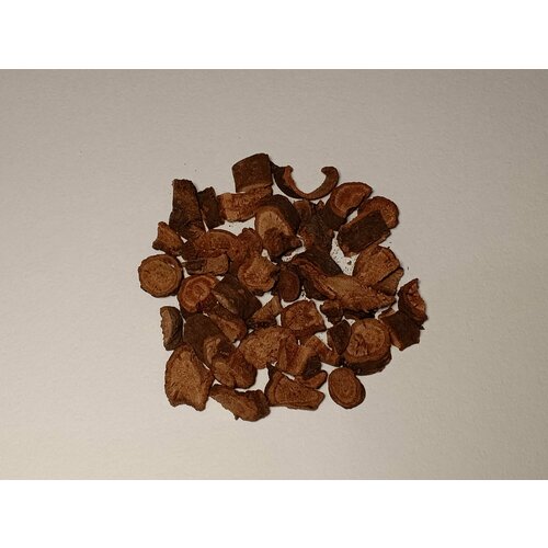 ���� ������ ������� (������) ������ ������