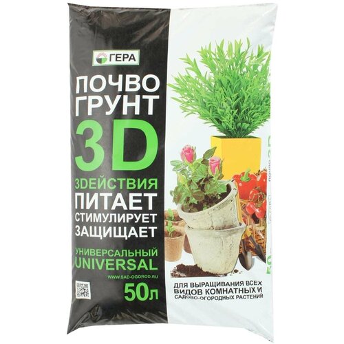 ���� ���� ����� 3D 50� ������ ������