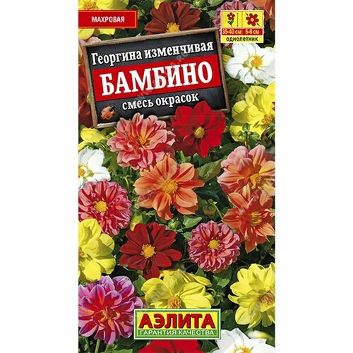 ���� �������� �������� 