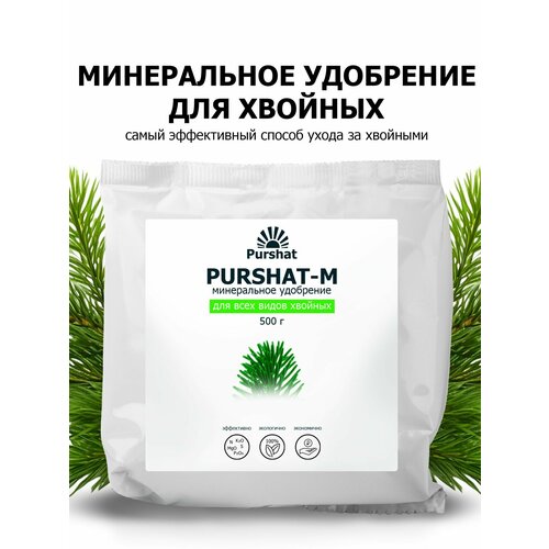 ���� ��������� ������ ����������� ��� ������� �������� 500 �� ������ ������