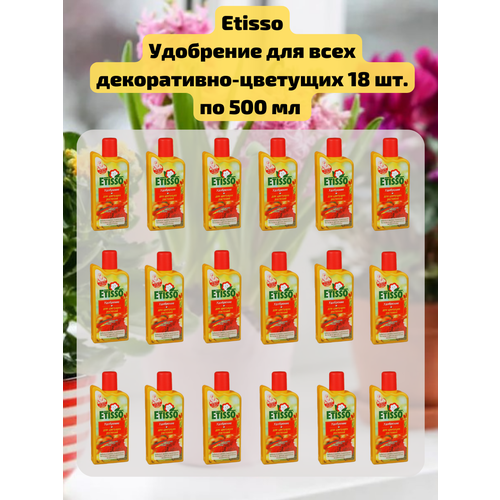   18 .         , 500 . Etisso   -     , -, 