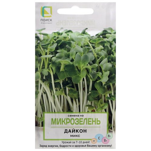 ���� ������ ����� ����������� ������, 5� ������ ������