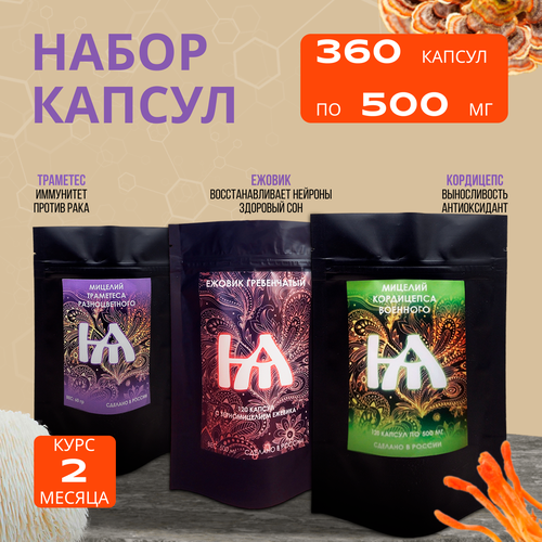 ���� ������ ����������� � �������� 360 ������. ����� ������ ��� ��������: ������, ���������, ��������. ������ ������