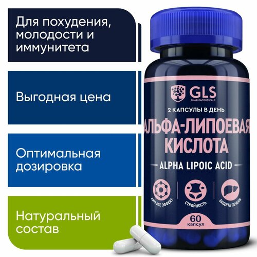     / Alpha Lipoic 100 ,     ,     , 60    -     , -, 