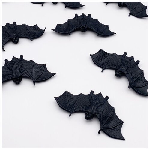 ���� ����� ��������� 