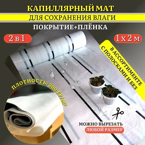 ���� ����������� ��� VIVAPOL � �������� ��������� Aquafol 2 �. �. ����������� ���������� ������ ������