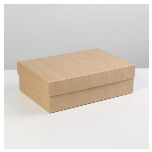 ���� 7302878 ������� �������� ��������� 30*20*9 �� ������ ������