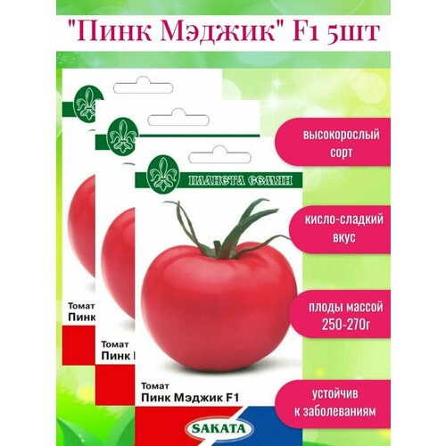 ���� ������ ������ ���� ������ F1 ������ ������