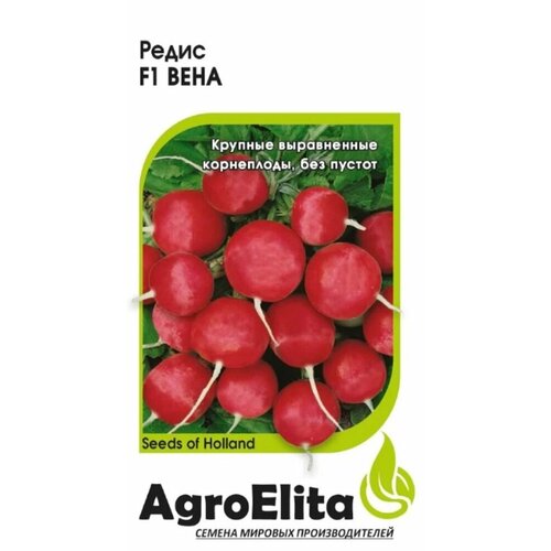 ���� ������ ����� ���� F1 0,5� ������ (���������) ��������� ������ ������