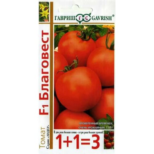 ���� ������ ����� ��������� F1 25�� ��� ������ (������) 1+1 ������ ������