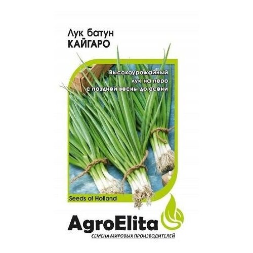 ���� ������. ��� ����� 