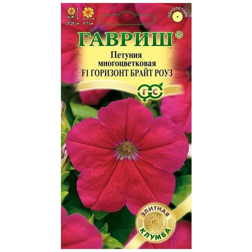 ���� ������. ������� �������������� 